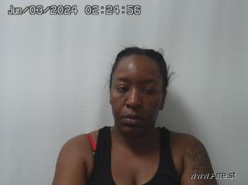 Brittany  Ferguson Mugshot