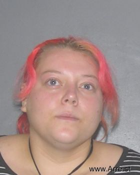 Brittany  Finke Mugshot