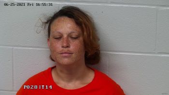 Brittany Lynn Gorman Mugshot