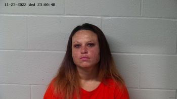 Brittany Lynn Gorman Mugshot