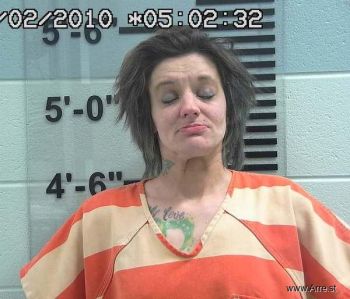 Brittany  Icenhower Mugshot