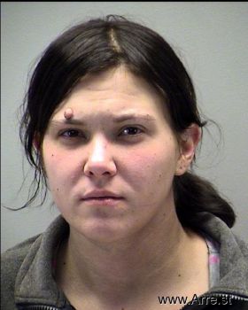 Brittany Marie Long Mugshot