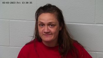 Brittany Ashley Nicole Myers Mugshot