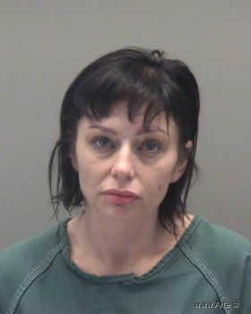 Brittany Lauren Wolfe Mugshot