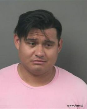 Bryan Fabrizzio Llerena-garaicoa Mugshot