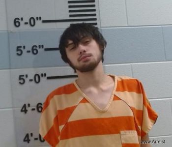 Bryce Nicholas Young Mugshot