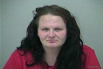 Cheyenne Areya Brister Mugshot