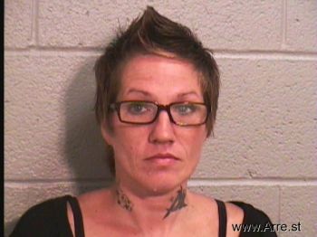 Christy Ann Wilkins Mugshot