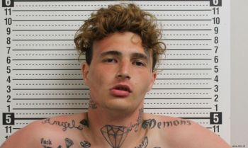 Cameron Scott Napier Mugshot