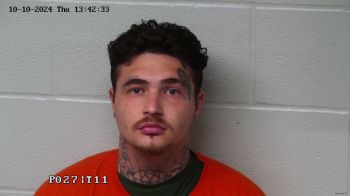 Cameron Scott Napier Mugshot