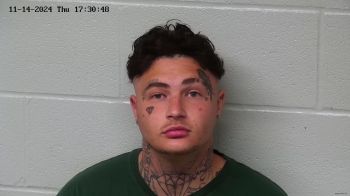 Cameron Scott Napier Mugshot