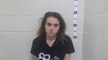 Carly Ann Wagner Mugshot