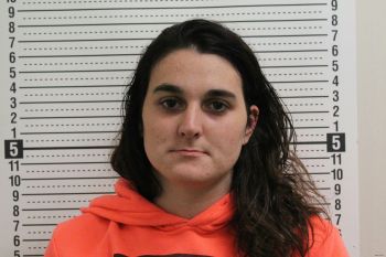 Carly Ann Wagner Mugshot