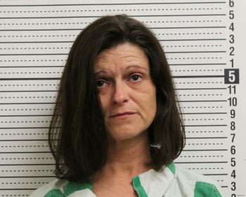 Carrie Sue Ball Mugshot