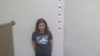 Carrie Sue Ball Mugshot