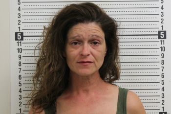 Carrie Sue Ball Mugshot