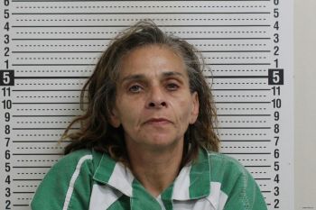 Carrie Lynn Dorsey Mugshot