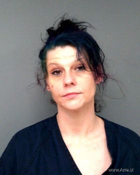 Carry Ann Brooks Mugshot