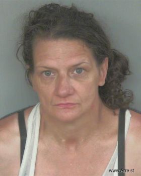 Cathy Renee Houts Mugshot