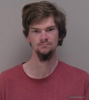 Chad Michael Junior Johnston Mugshot