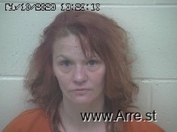 Chasity Lorriane Carey Mugshot