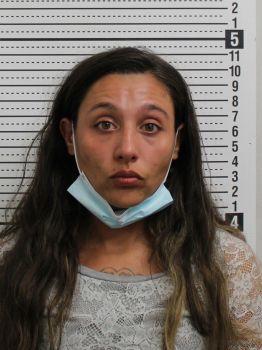 Cheyenne Renee Trent Mugshot