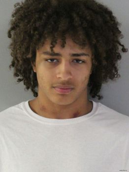 Christian Gregory Fox Mugshot