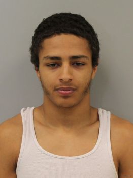 Christian Gregory Fox Mugshot