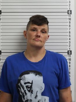 Christie Jo Mavis Mugshot