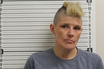 Christie Jo Mavis Mugshot