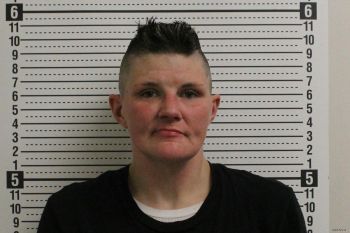 Christie Jo Mavis Mugshot