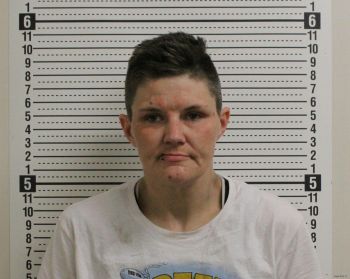 Christie Jo Mavis Mugshot