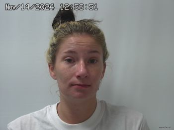 Christina  Arnold Mugshot