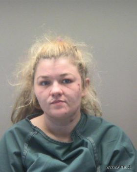 Christina Lea Baker-robinson Mugshot