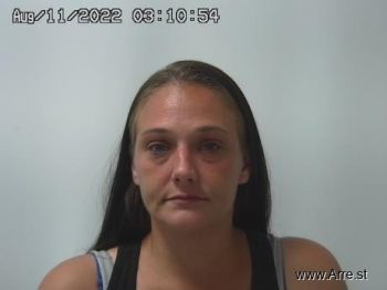 Christina Marie Chapman Mugshot