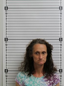 Christina M Krafthefer Mugshot