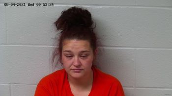 Christine Lee Henderson Mugshot