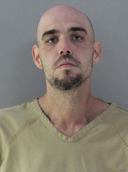 Christopher Michael Liming Mugshot