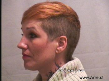 Christy Ann Wilkins Mugshot