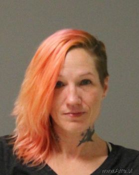 Christy Ann Wilkins Mugshot