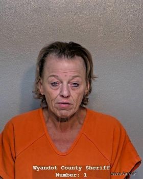 Cindy Yvonne Holcomb Mugshot