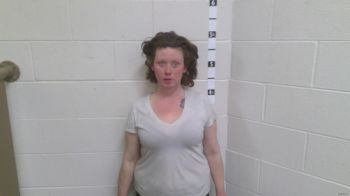 Cleasha Ann Sheetz Mugshot