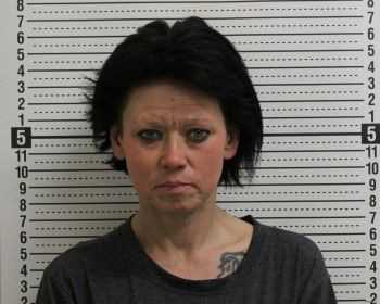 Cleasha Ann Sheetz Mugshot