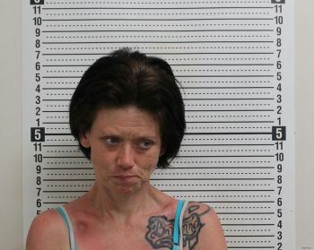 Cleasha Ann Sheetz Mugshot