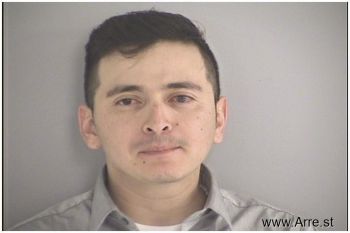 Cristian Reinel Gonzalez Mugshot