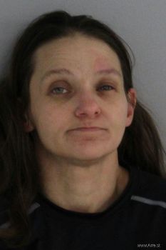 Crystal Lynn Howard Mugshot