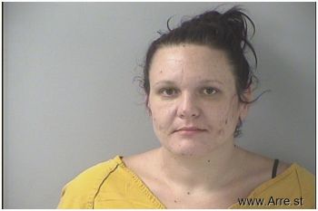 Crystal Gayle Menninger Mugshot