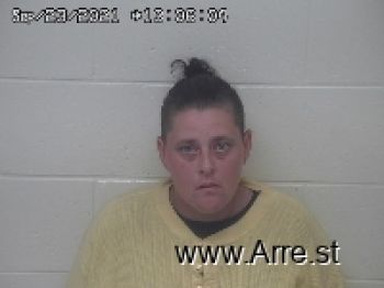 Crystal Lynn Mitchell Mugshot