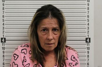 Crystal L Park Mugshot