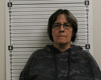 Crystal Lee Park Mugshot